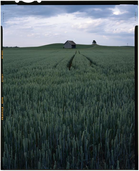 Wista45D, 150mm & Provia100F