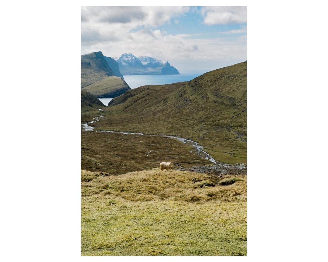 Faroe Islands | Nikon F4, Pentax 67, Canon PS (Various films)