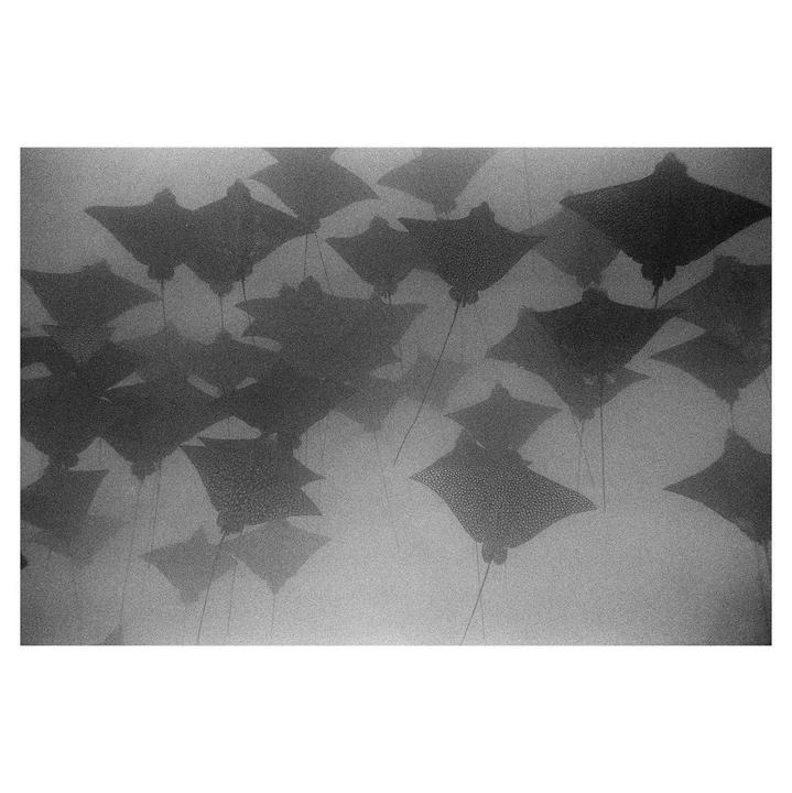 Almost an Escher | Nikonos V + 35f2.5 | HP5+