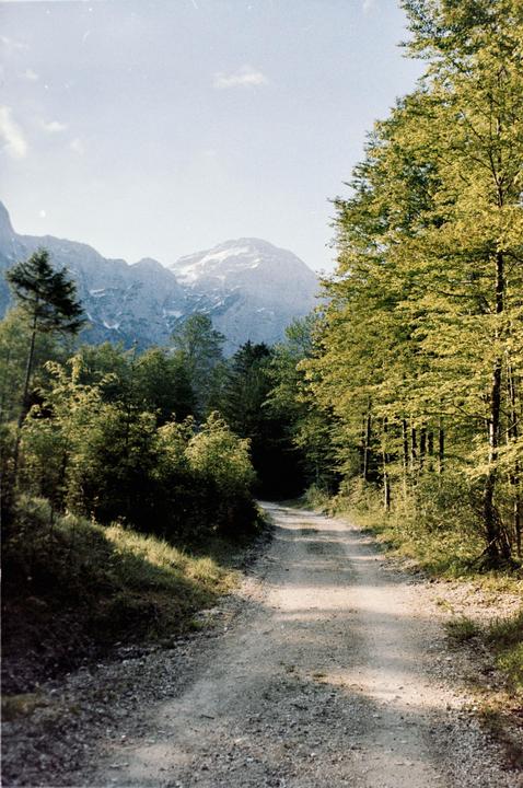 I was pleasently suprised by ORWO NC 500 (Canon EOS 50, 35-70mm 3.5f)