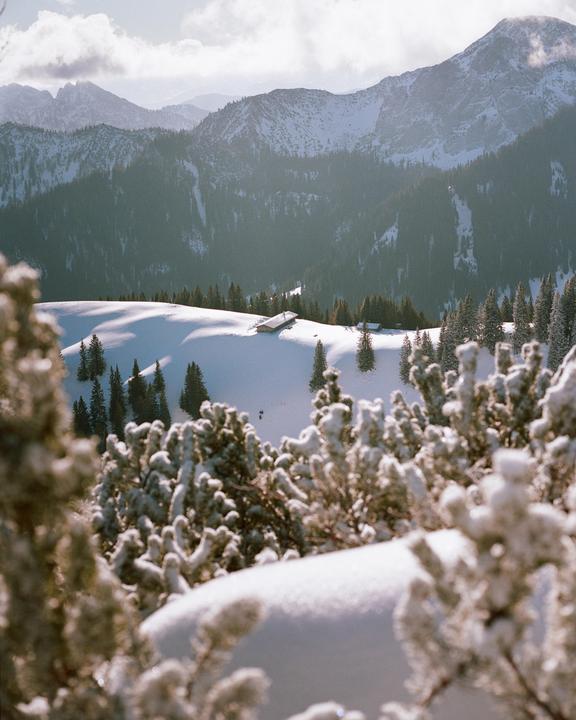 Wallberg, Bavaria [Mamiya 645, 80mm f2.8, Kodak Portra 160]