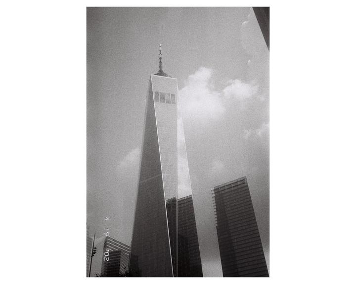Bought the cheapest film at B&H. Put it in a point and shoot that I thrifted for 5 bucks… and for 10 bucks this is what I got.