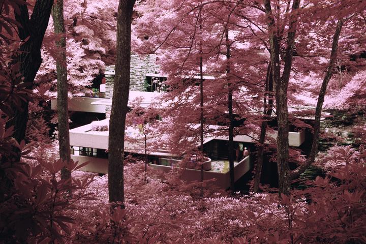 Approaching Fallingwater [Rollei Infrared | Zeiss 50mm Planar | Canon EOS A2]