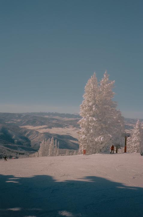 Ski Days [Yashica T5, 35mm, Portra 400]