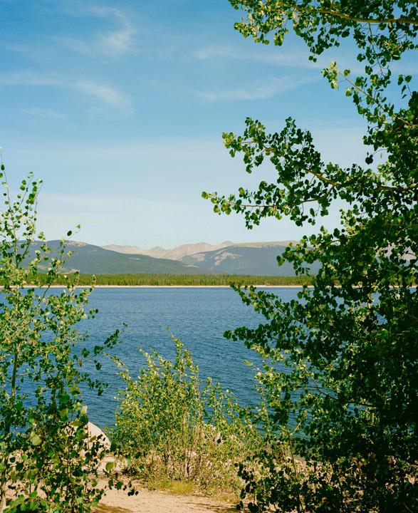 A body of water is visible through the leaves of several trees, with mountains and a forest in the background.
