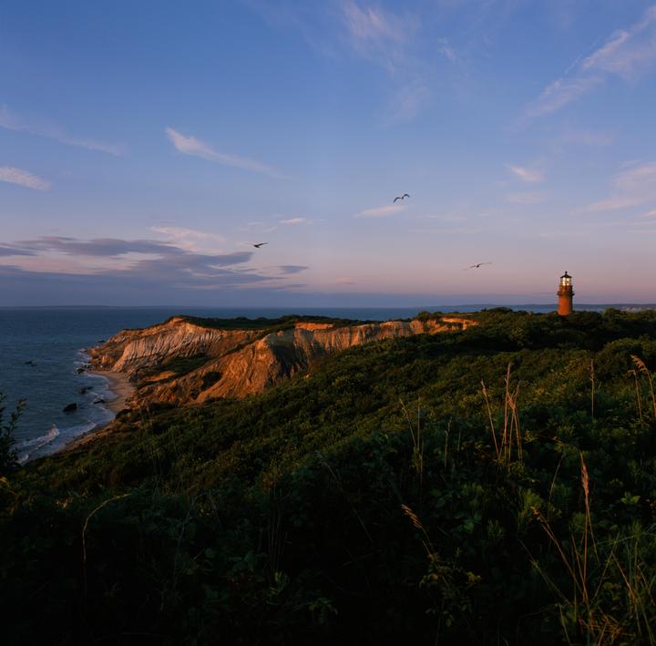 Martha's Vineyard [Bronica SQ-A, Zenzanon PS 50mm f3.5, Provia 100 and Velvia 50]