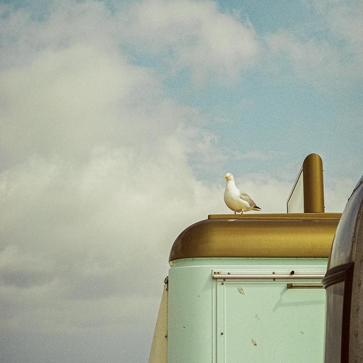 Outlook. Canon A1 | 50mm 1.8 | Cinestill 400D