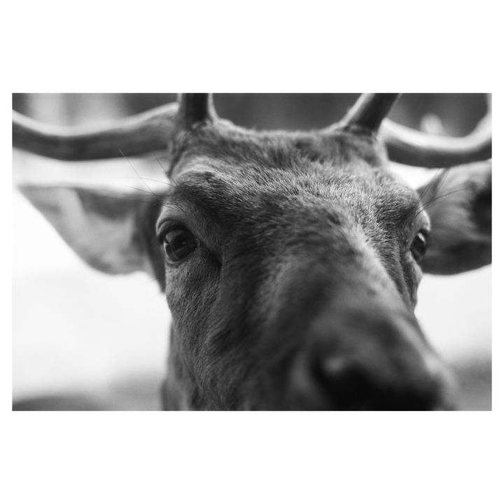 Hello There [Nikon F3, 50mm f/1.8, Acros 100]
