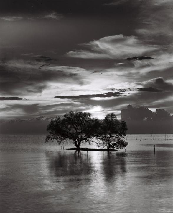Two trees stand on a small island in the middle of a body of water under a dramatic sky.