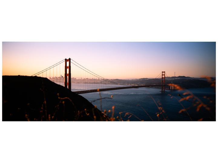 Golden [Fuji TX-1 and Mamiya 7II, 45mm f4 and 65mm f/4, Gold 200 and Velvia 50]
