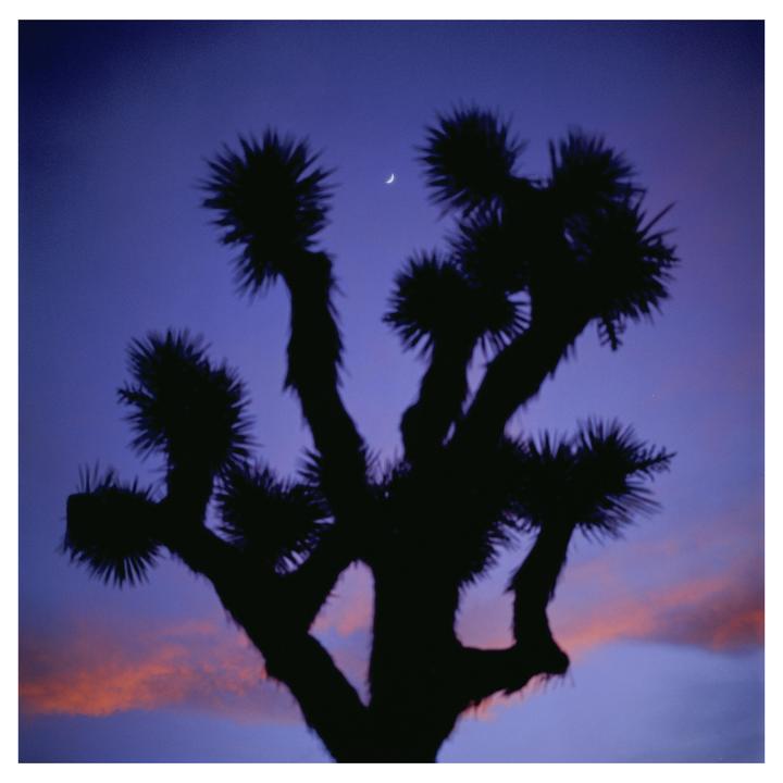 Hasselblad 501cm, 80CB, Velvia 50