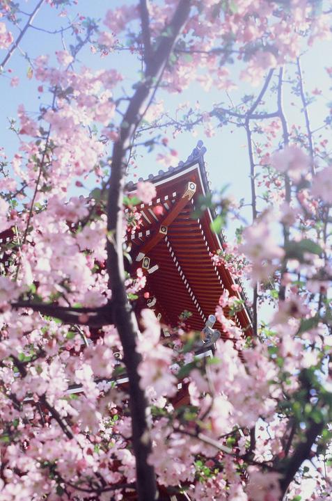 Asakusa (Ektachrome E100, Canon EOS Rebel G, EF 40mm f2.8)