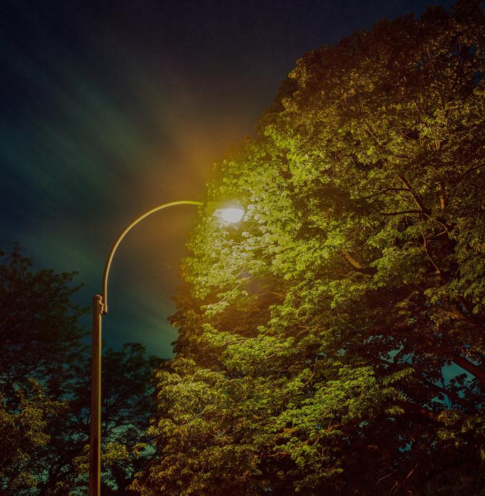 Lampposts In Ridgewood [500CM, 80 2.8, Portra 800]