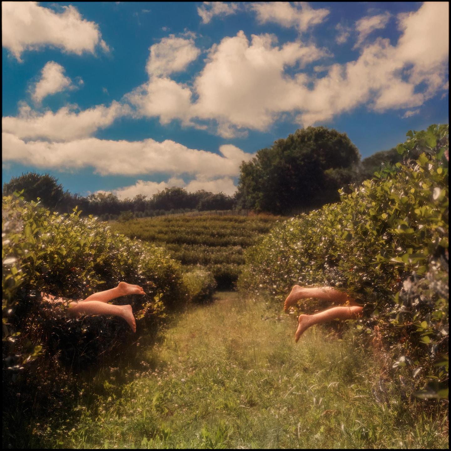 image 36294 by Koneser_fotografii