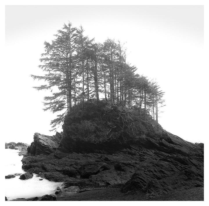 A cluster of trees grows on a rocky outcrop by the water.