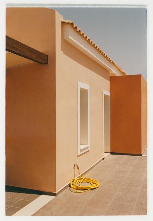 Yellow Snake [Leica M6 TTL, Summicron 35mm, Kodak Gold 200, Hand printed]