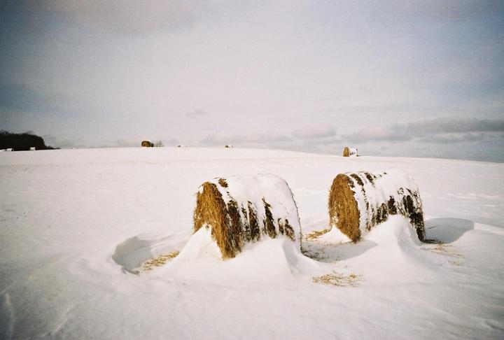 Nikon 35Ti // Kodak Gold 200
