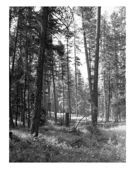 Are landscapes cool anymore? | Minolta XD5 + 45/2 + HP5 in Rodinal