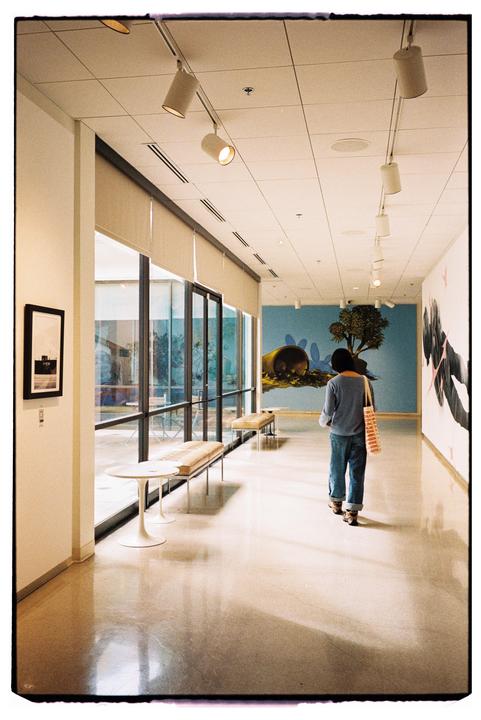 A person walks down a brightly lit hallway with large windows and artwork on the walls.