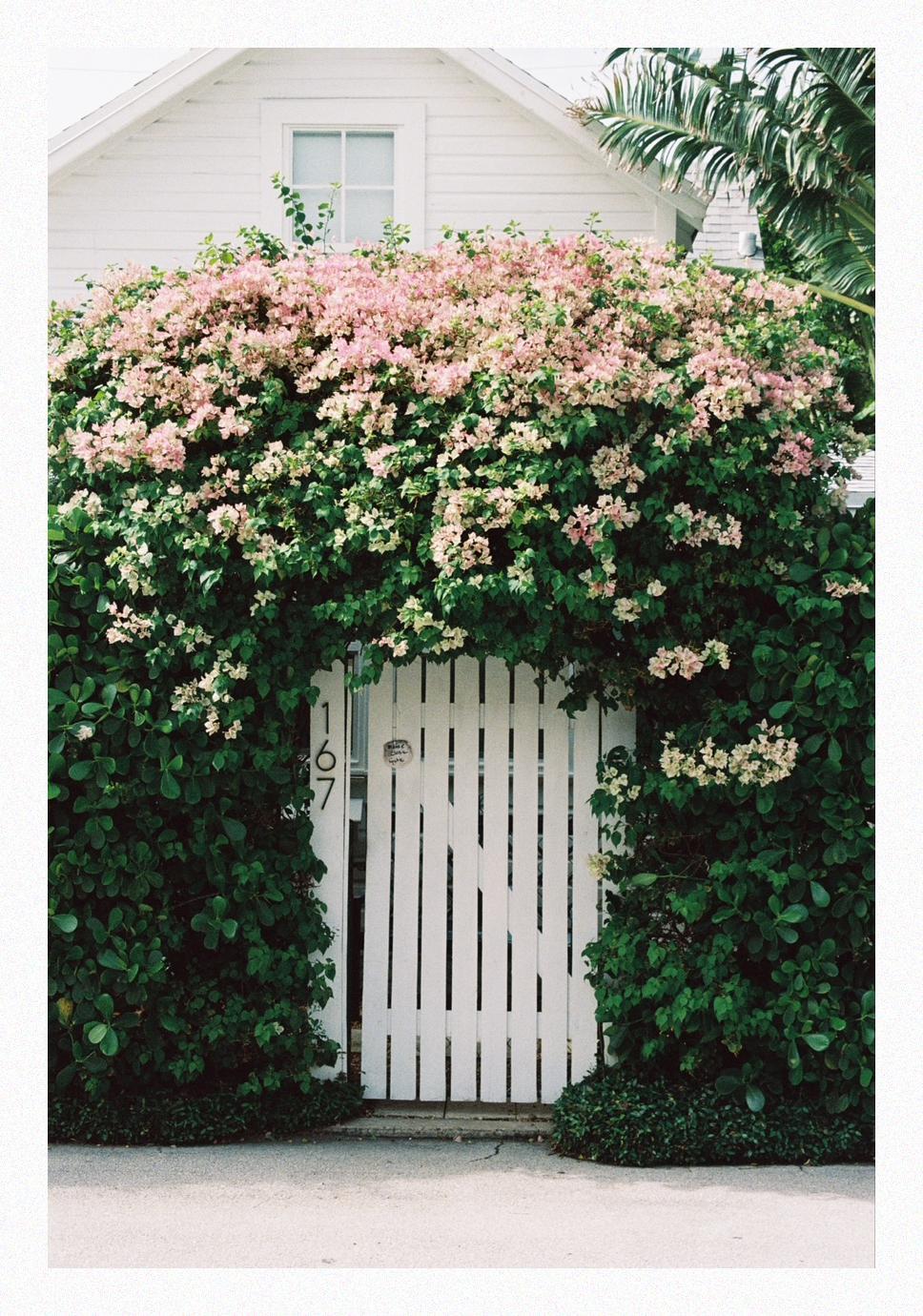 image 34540 by pipher
