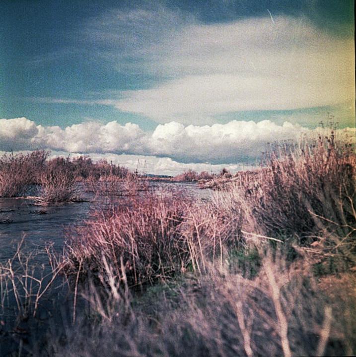 Mamiya C33, 80mm, expired Kodak Kodacolor 400 metered at 25. Mohave River.