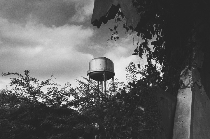 A water tower stands above a dense thicket of bushes and vines, with a cloudy sky overhead.