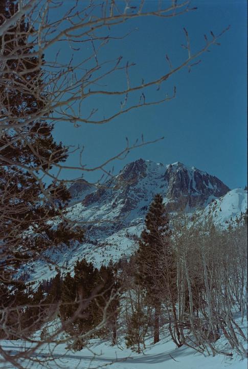 What went wrong? (Beginner, at home Dev + Scan)