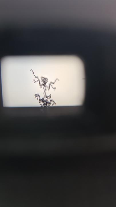What is this inside my SLR?