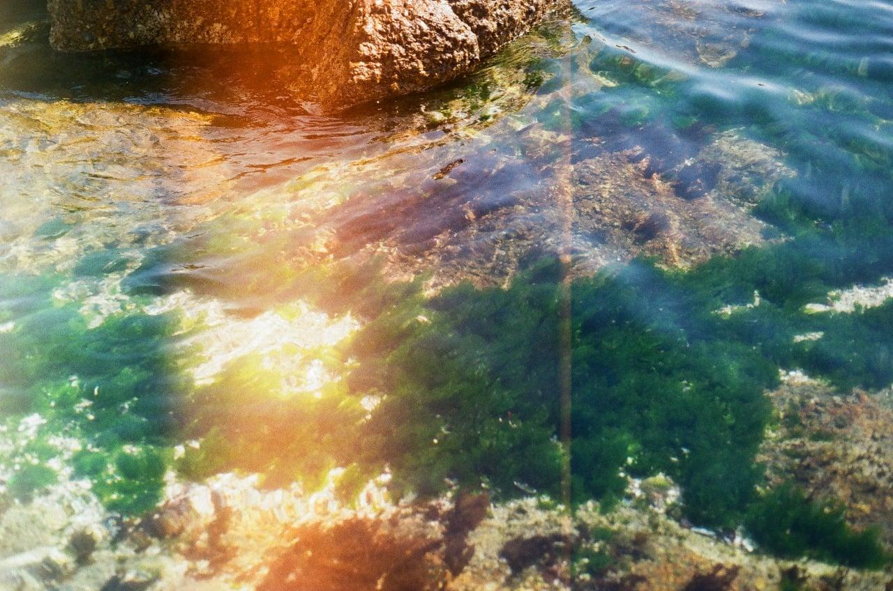 image 35983 by Apprehensive-Ad8663