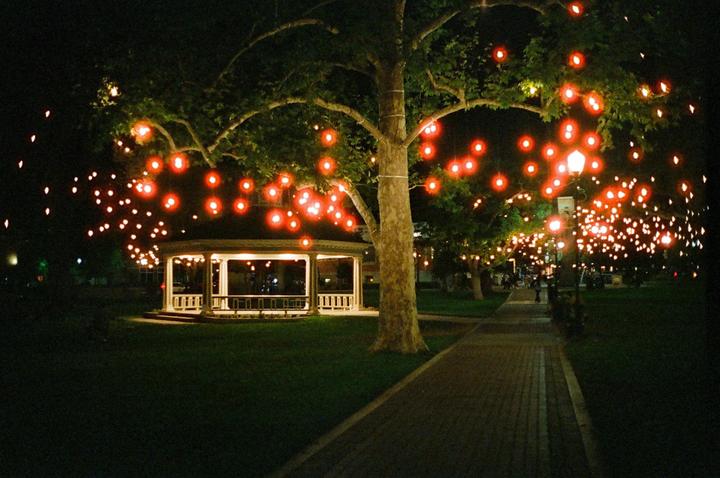 Oh wow so romantic so pretty [Cinestill 800t, Yashica Electro GS 45mm f/1.7]