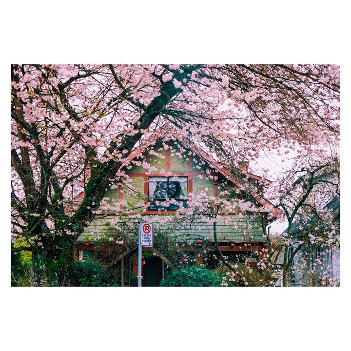 A house with a red roof and green siding is surrounded by pink blossoms.