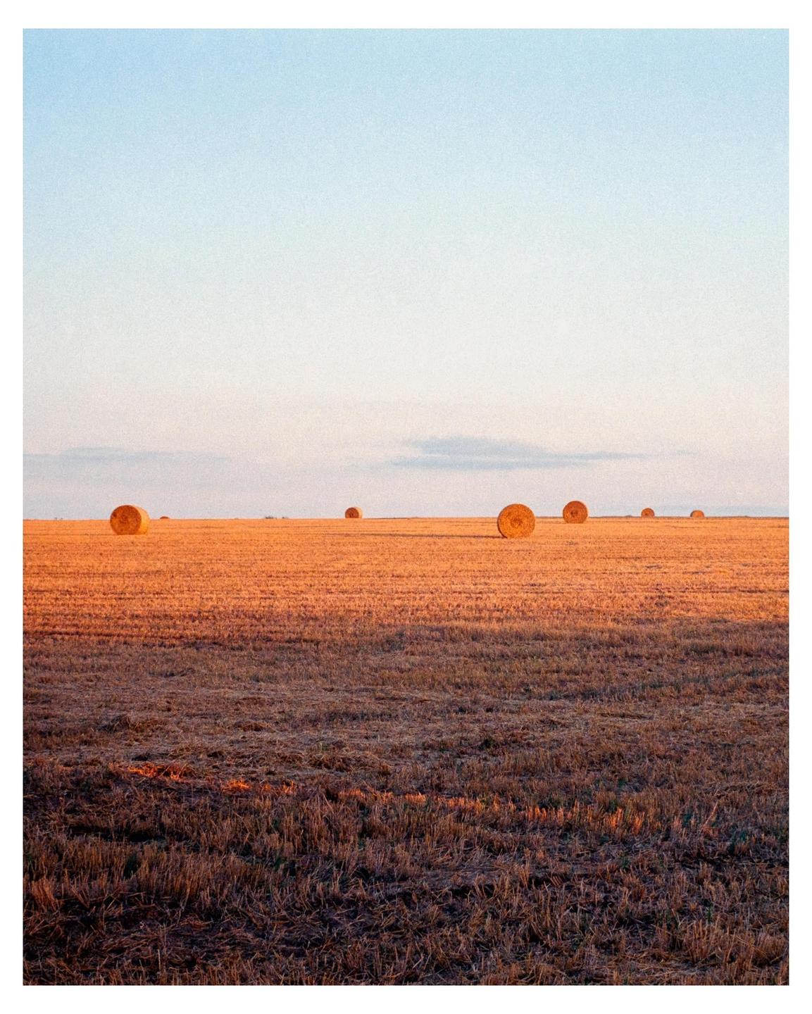 image 36185 by Marazbrna