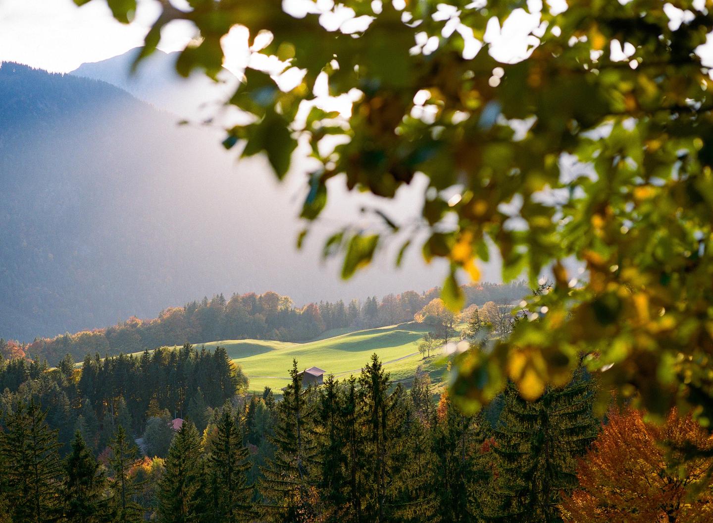 image 36191 by mikhailiuk