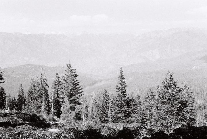 New to film, B&W super grainy and high contrast?