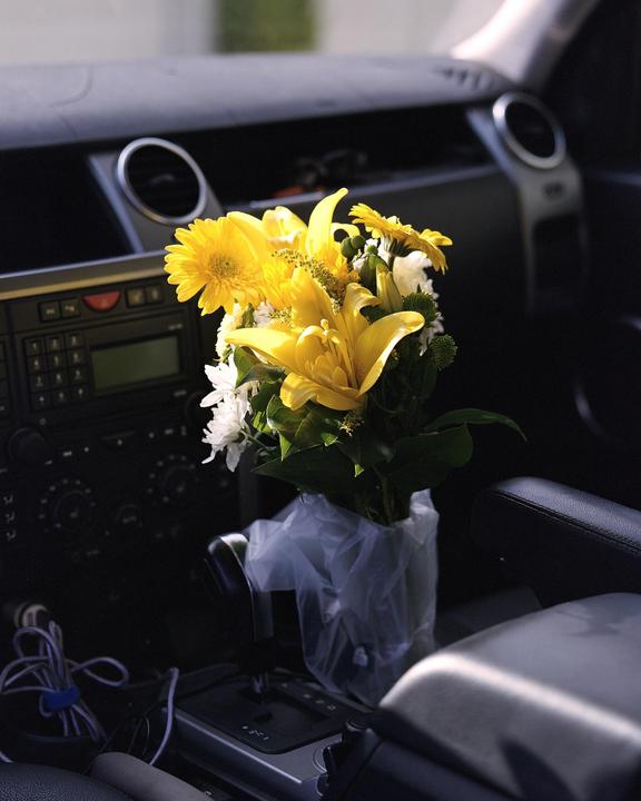 My flower series | Linhof master technika, Kodak Portra 160/400