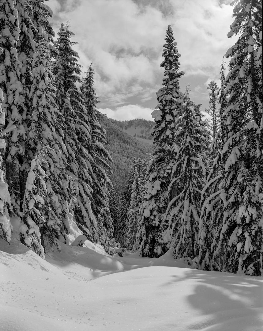 image 35319 by Larix-24