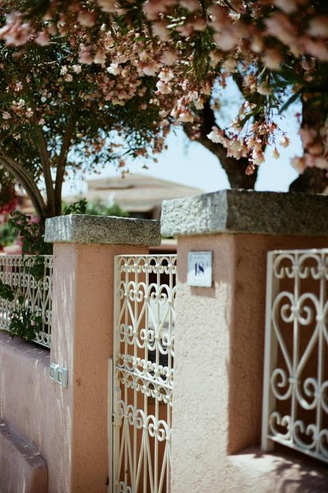 In love with Kodak Gold colors