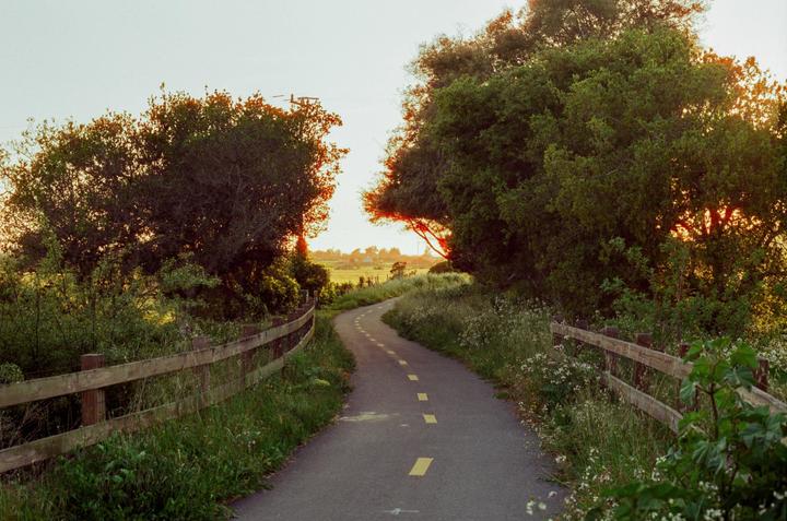 remnants of the old California Coast [Canon EOS 650, EF 50mm f/1.8, Cinestill 400D]