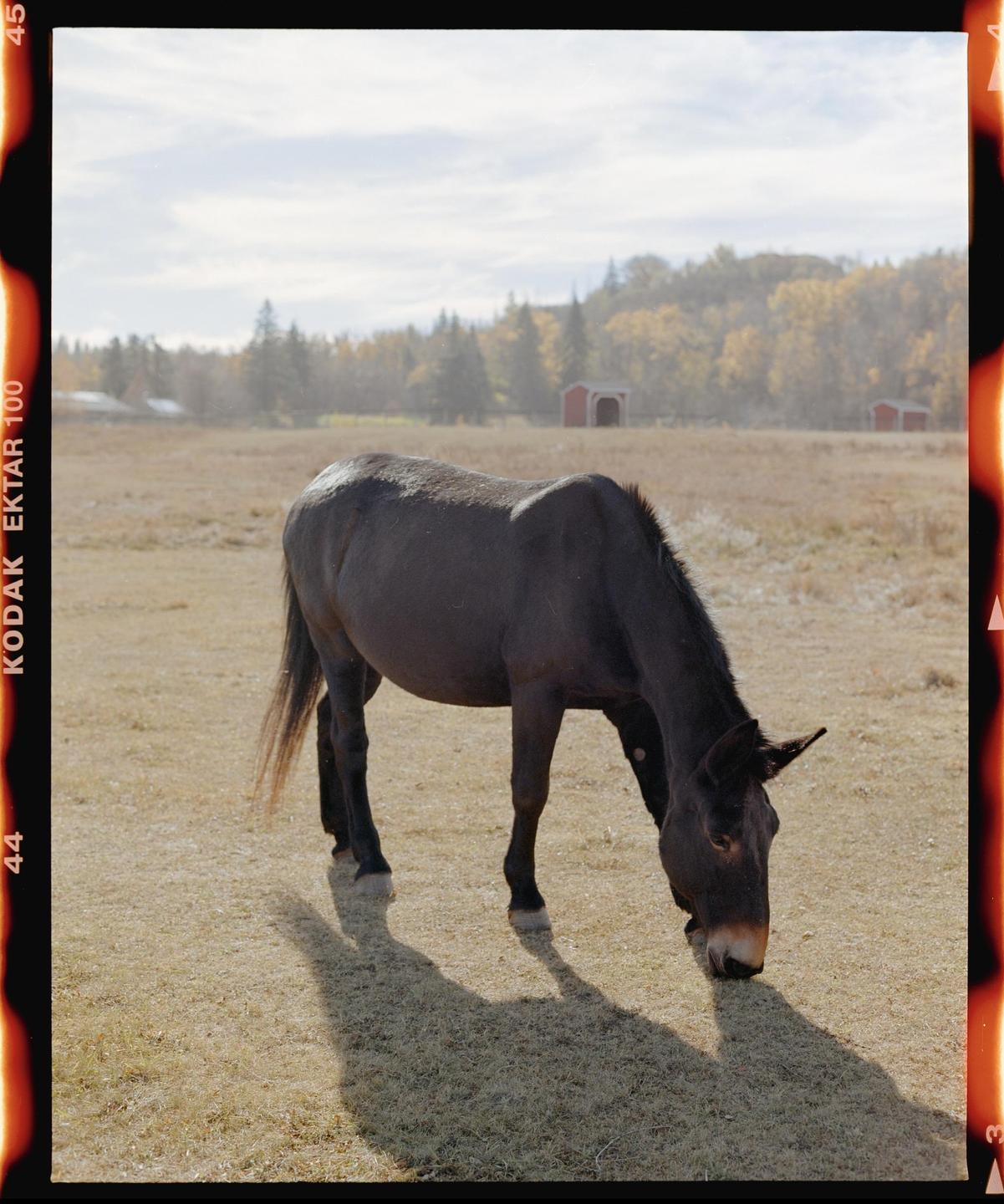 image 35783 by Bodge22