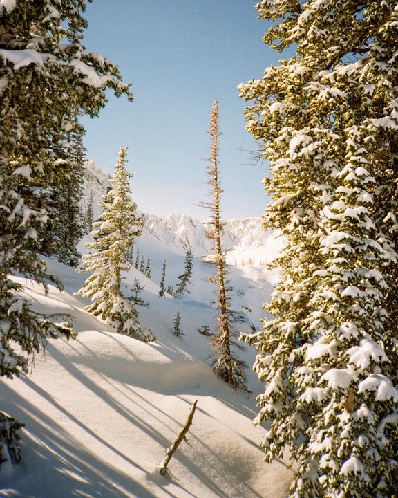 Bluebird snow scape (Olympus XA // Gold 200)