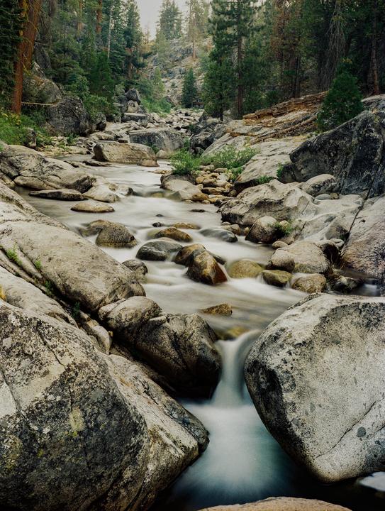 From my first roll on medium format. Mamiya 645, 80mm 2.8, kodak gold 200