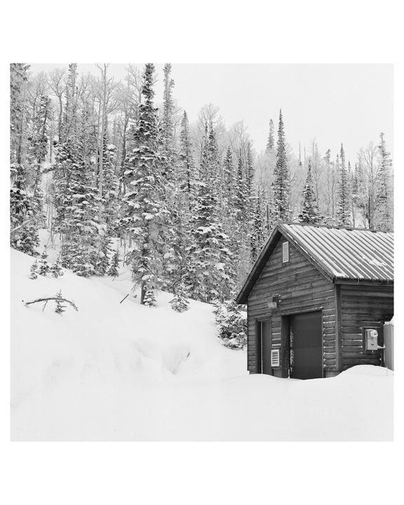A wooden cabin is partially covered in snow next to a forest of snow-covered trees.