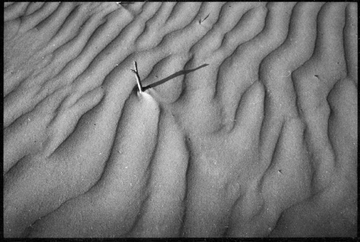 Agfa APX 100