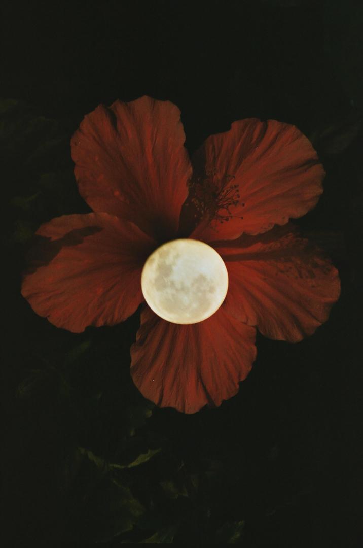 image 35744 by Listentofrancisco