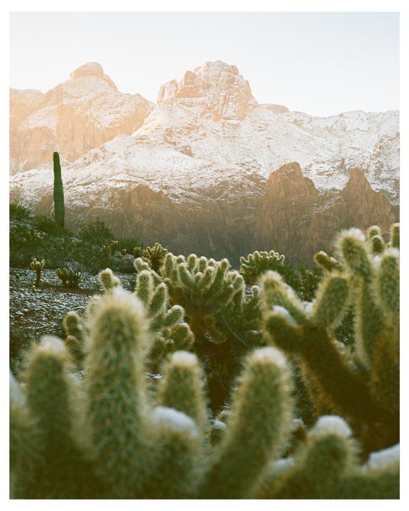 a surprising snowy sunrise in the desert | minolta CLE + m-rokkor 90mm | ektar 100