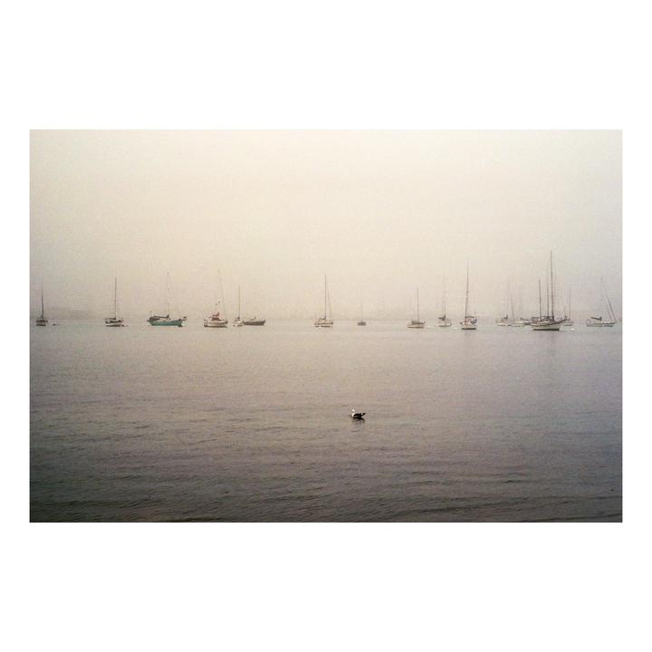 Fog, Gloom | Leica MP
