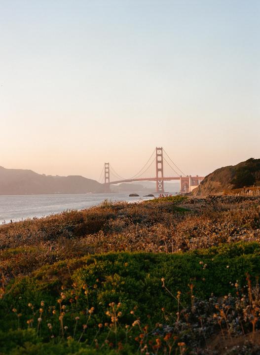 Successful trip to San Francisco [Bronica ETRS,75mm f2.8, portra400]