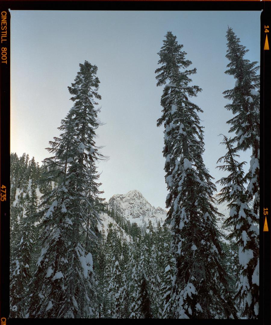image 35160 by douglasrhall_
