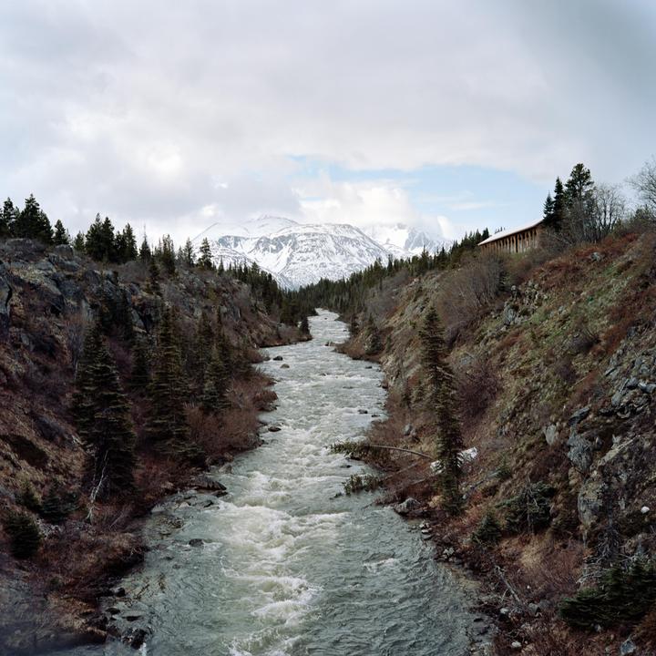 Took my Rolleiflex to Alaska Part 2 - Rolleiflex 2.8F - 80mm f2.8 - Portra 160