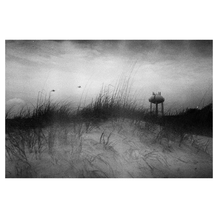 A water tower stands behind a dune covered in tall grass, with two birds flying in the sky.